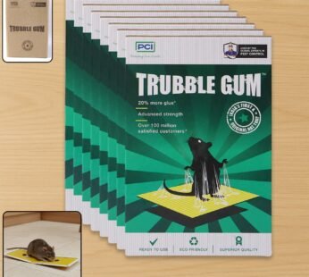 PCI Cardboard Troublegum Small Size Mouse Trap-10Pc